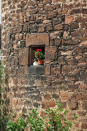 Büdingen _auerblümchen null