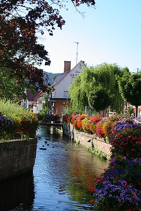 Niederbronn les Bains null