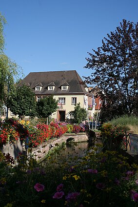 Niederbronn les Bains null