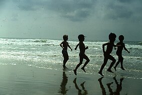 Plage de Deauville null