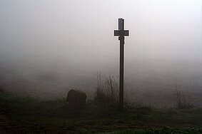 Langgewann im Herbstnebel null