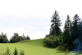 Seefeld in Tirol null