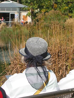 Trauttmansdorff null