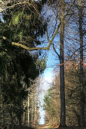 IMG_1361_Akzentuiert null