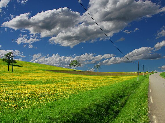 Frankreich - Grand Est
